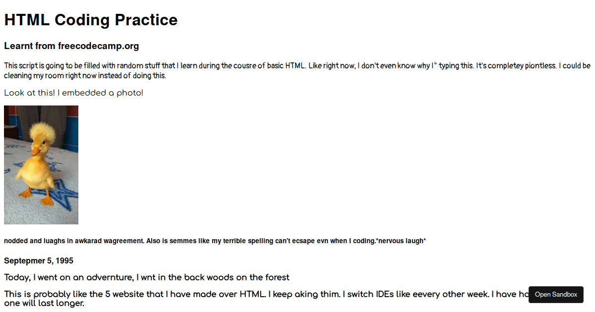 HTML Coding Practice - Codesandbox