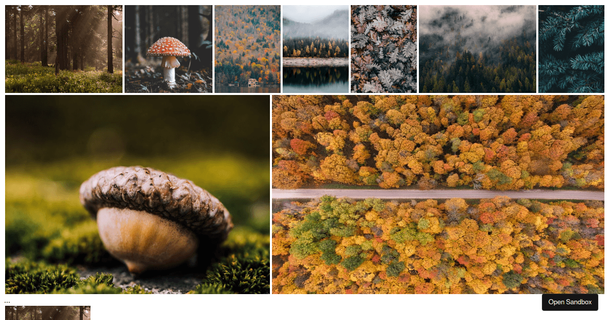reactphotogallery with reactsortablehoc Codesandbox