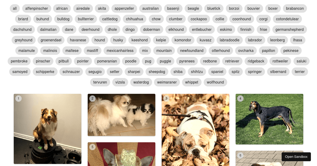 react-masonry-dogs - Codesandbox