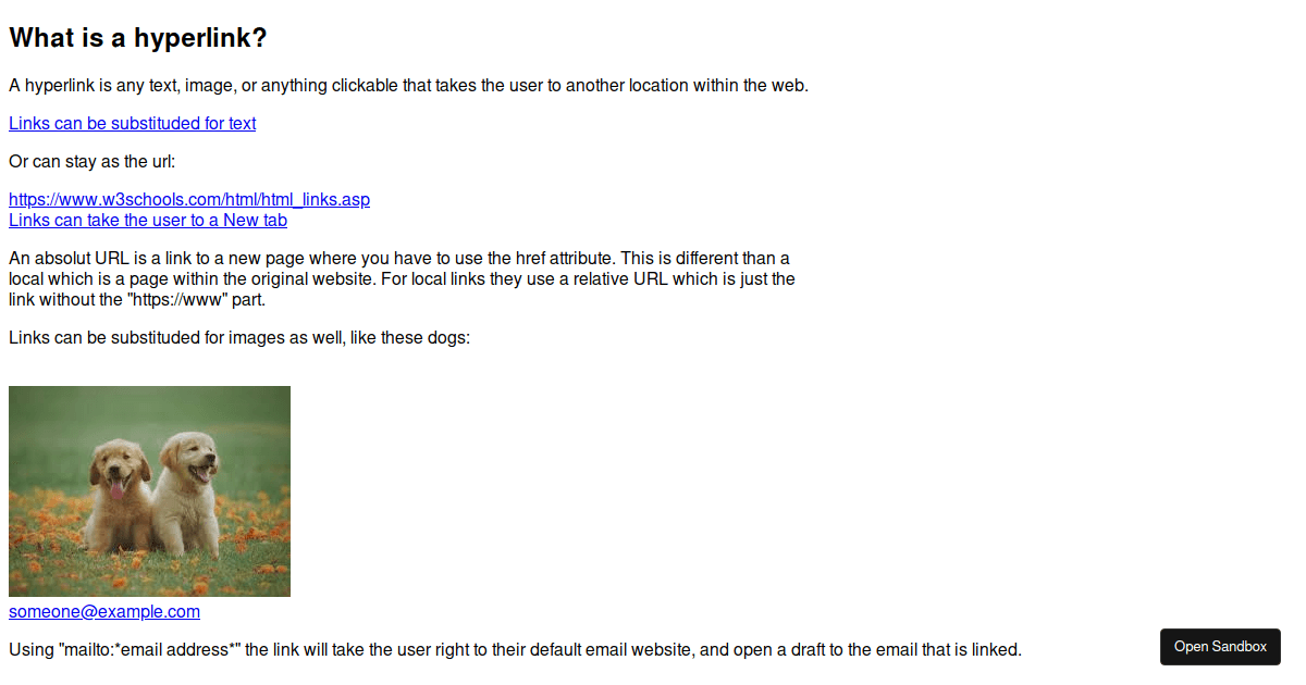 HTML Links Codesandbox