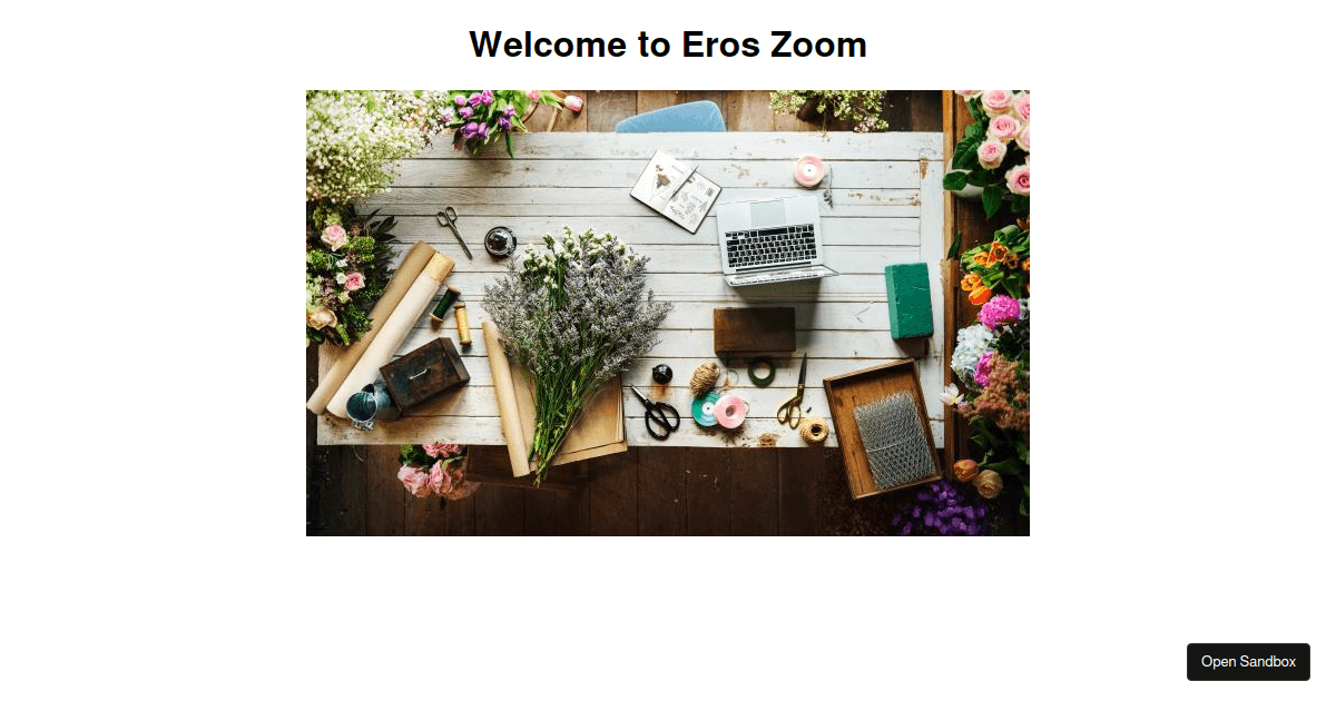 Angular image zoom (forked) - Codesandbox