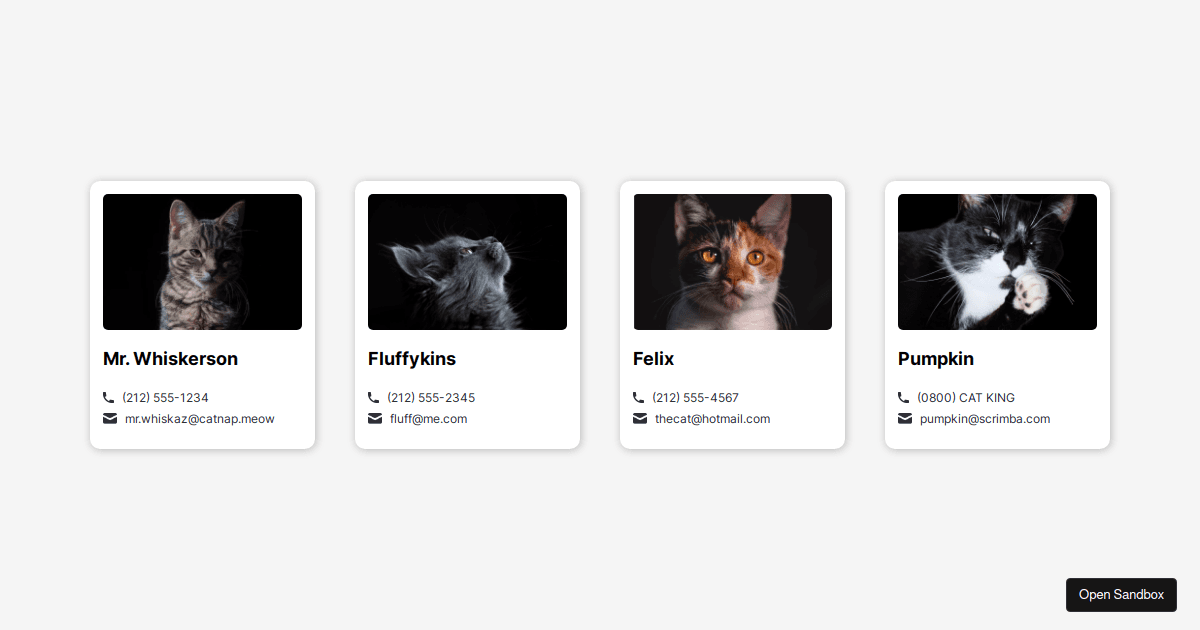 contacts - Codesandbox