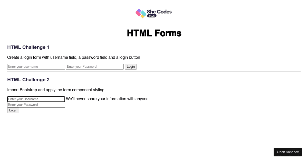 HTML Forms (forked) Codesandbox