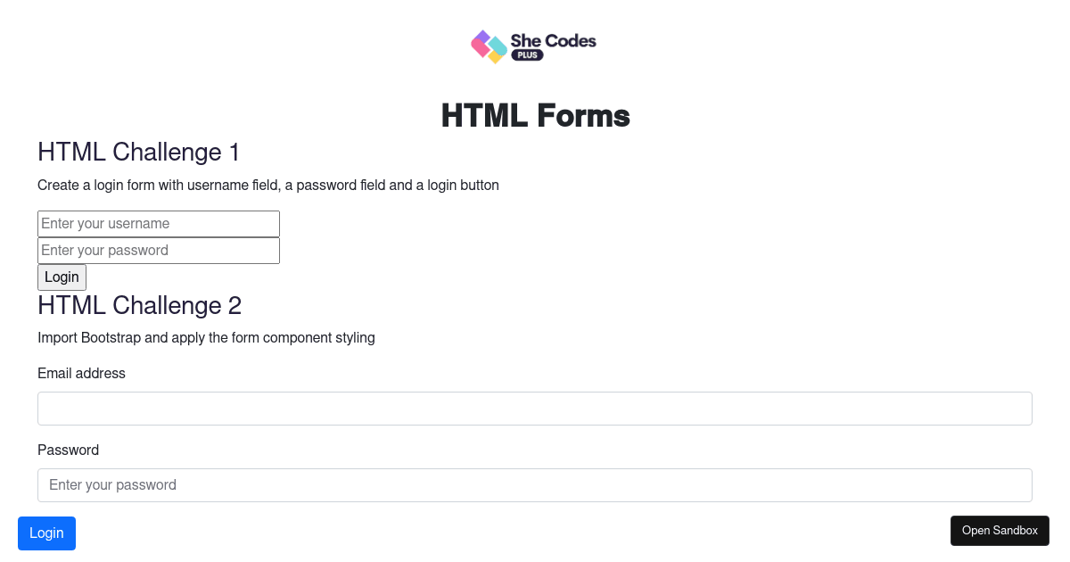 HTML Forms (forked) - Codesandbox