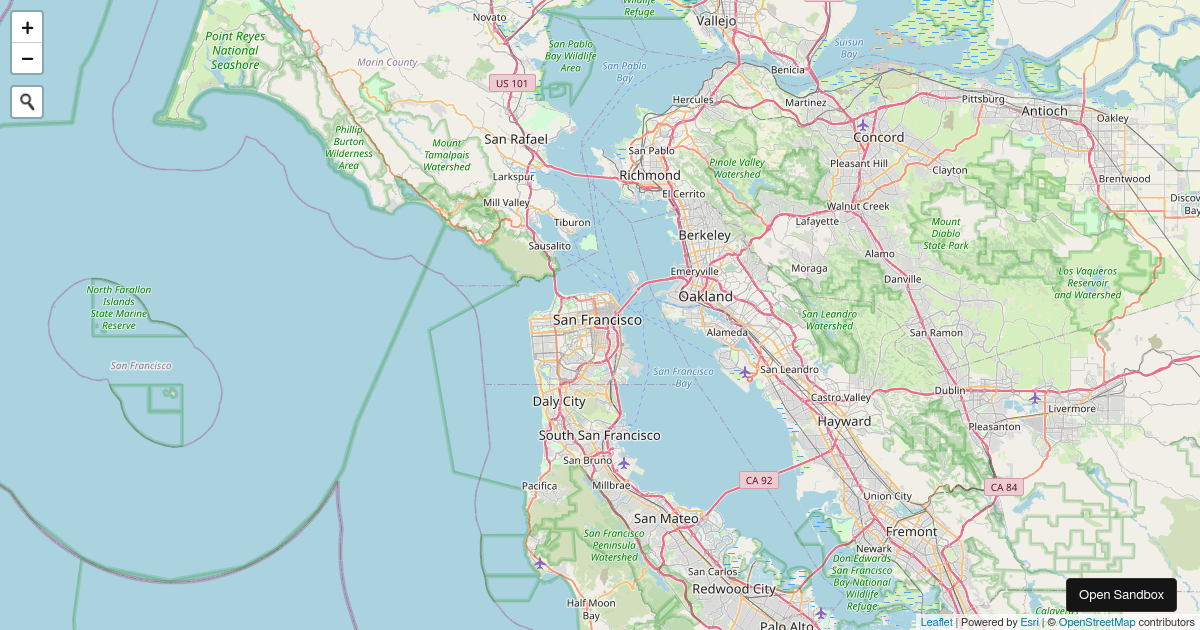 Geocoding Using Esri-leaflet-geosearch & React - Codesandbox