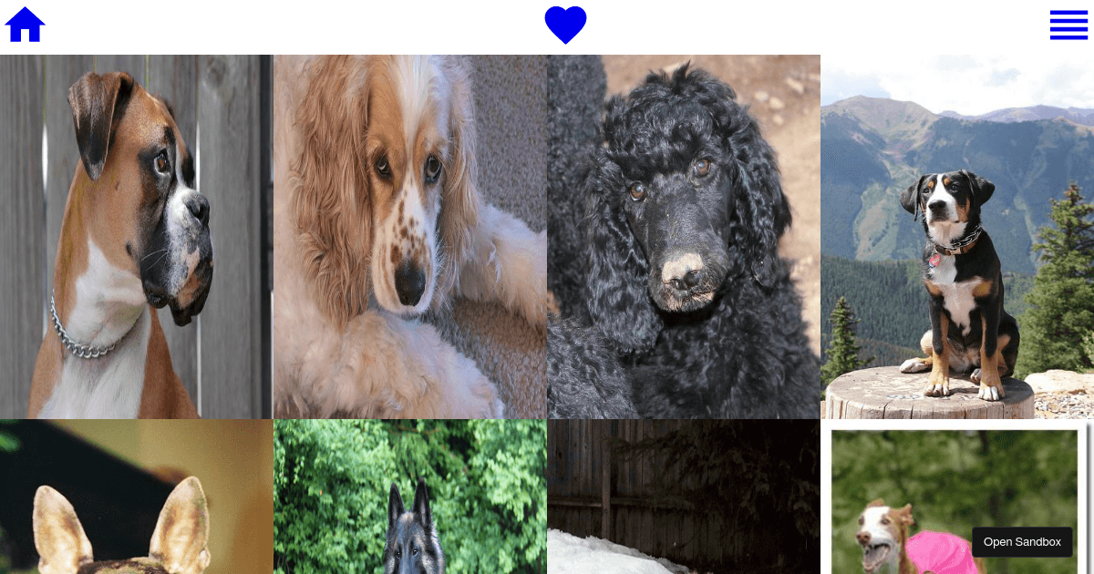 dog-gram - Codesandbox
