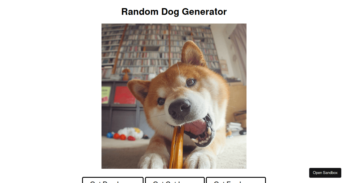 Random Dog Generator Template Codesandbox