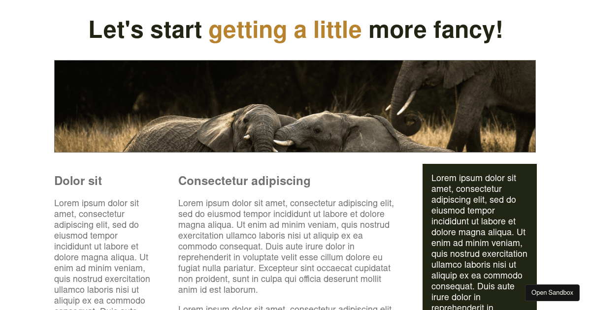 scrimba-css-2-basic-style-and-setting-up-columns - Codesandbox