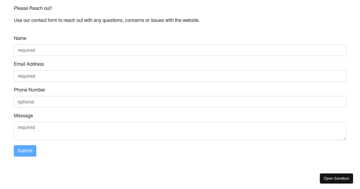 Form Validity Check - Codesandbox