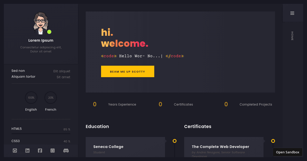 Portfolio (forked) - Codesandbox