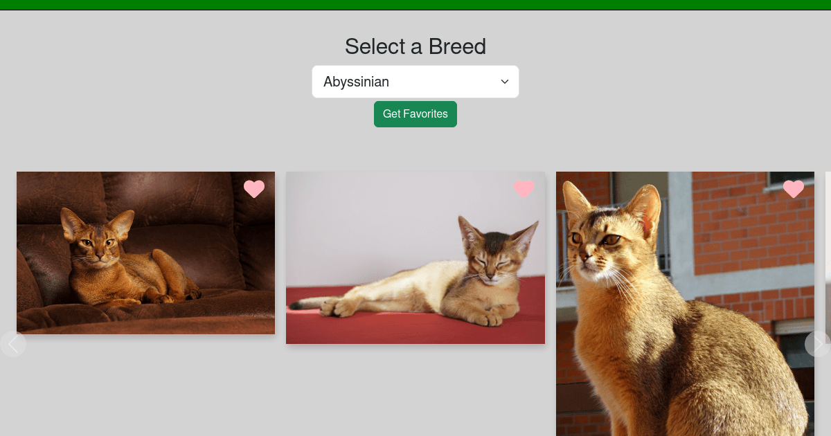 AJAX, Fetch, and Axios Lab Solution - Codesandbox