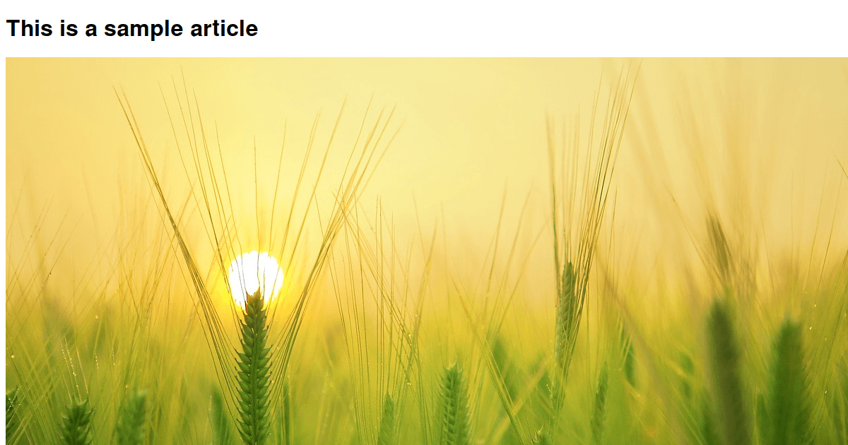 Nextjs Pdf Codesandbox