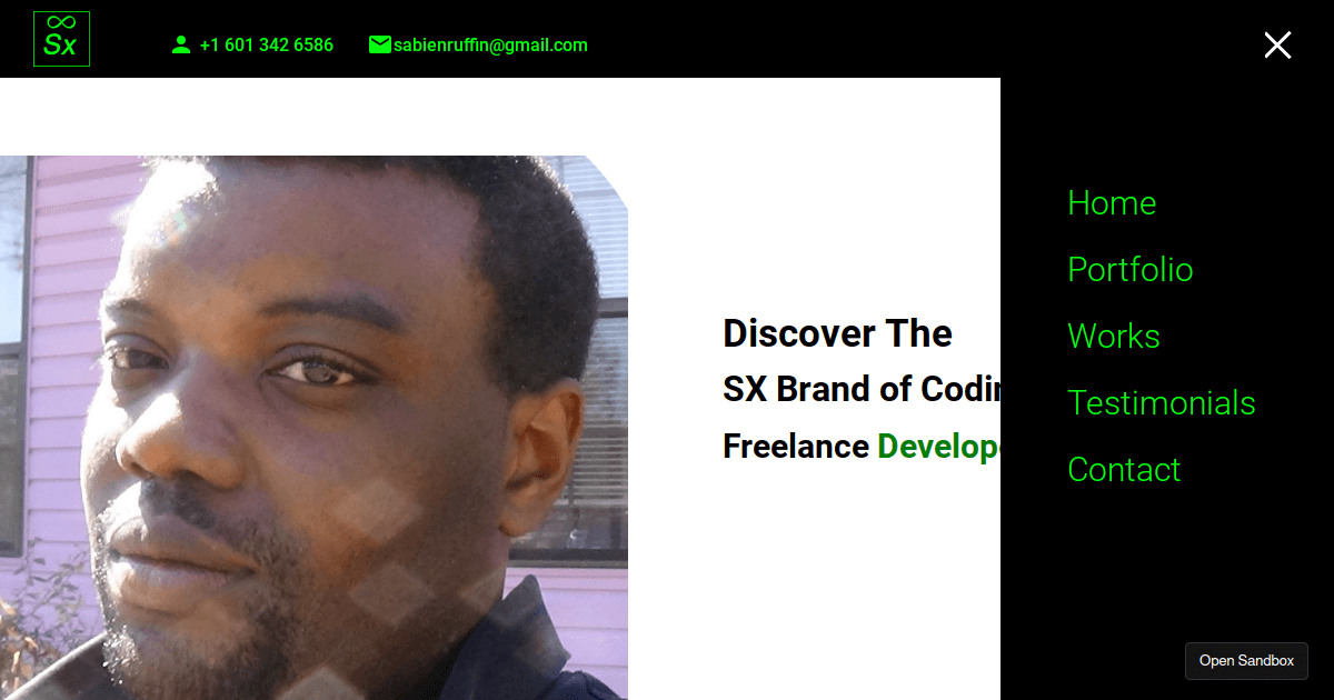 portfolio - Codesandbox