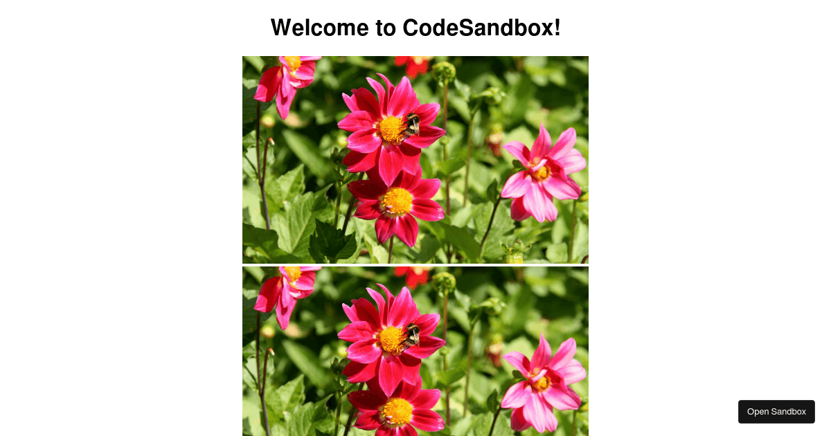 cloudinary-responsive (forked) - Codesandbox