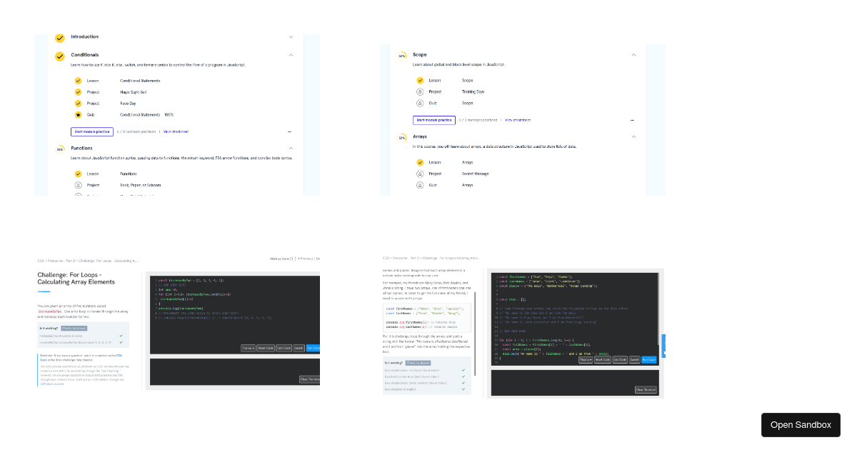 js assisgnement 2 - Codesandbox