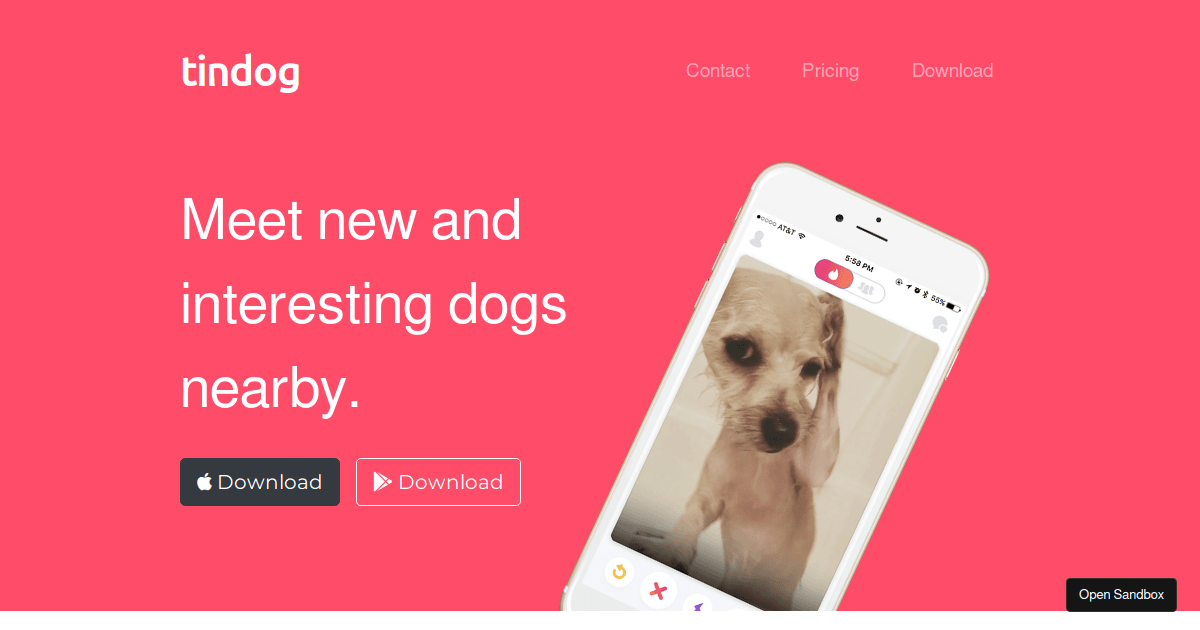 TinDog Website - Codesandbox