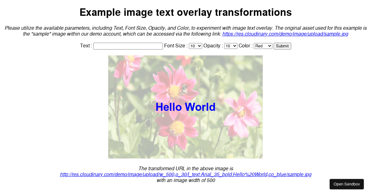 example image text overlay transformations - Codesandbox