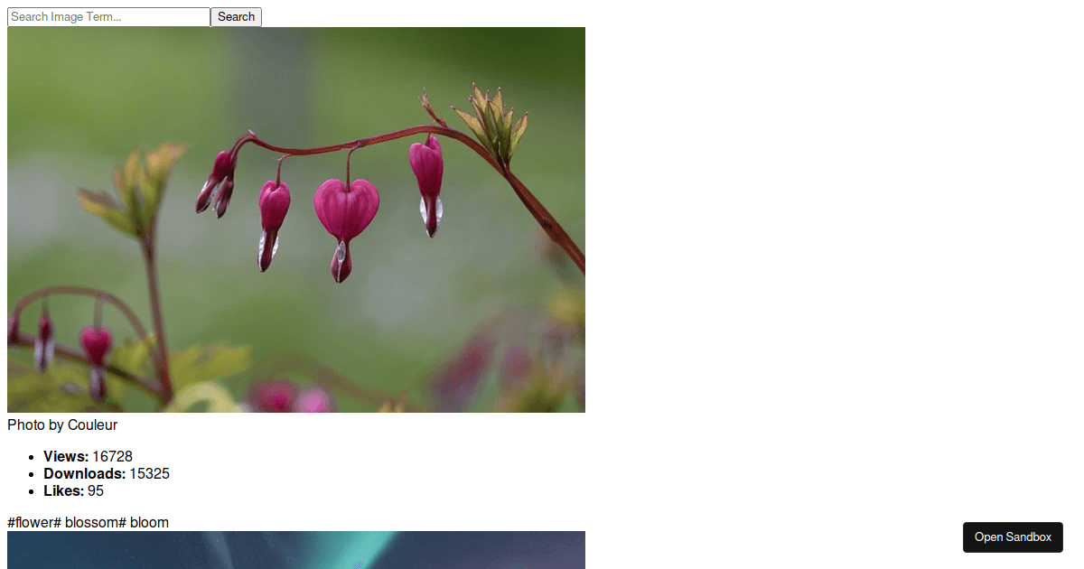 Image Gallery - Codesandbox