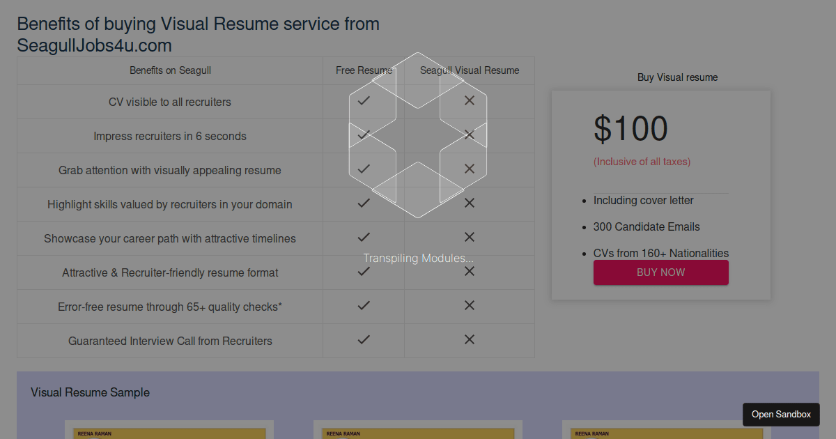 resume visual resume making - Codesandbox