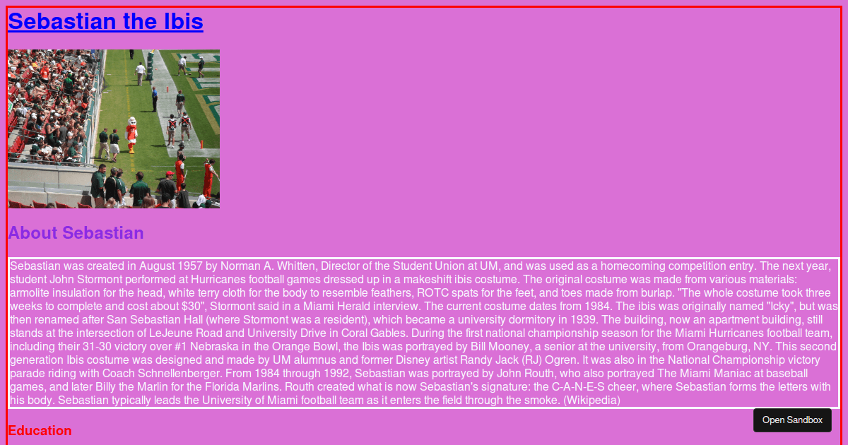 HTML RESUME ASSIGNMENT 1 - Codesandbox