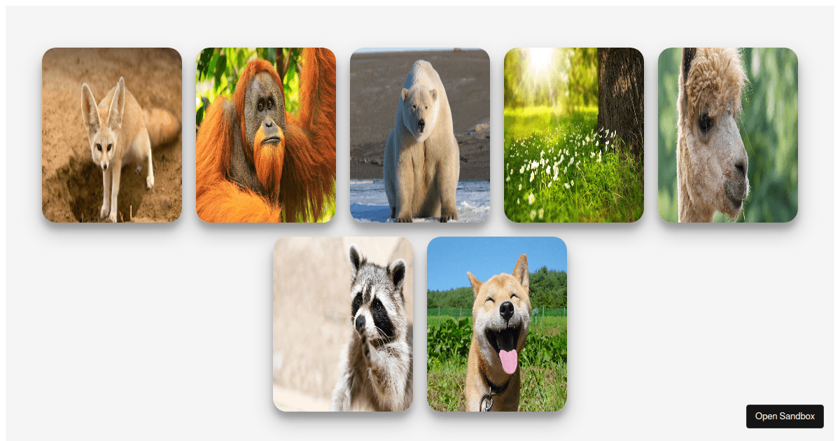 card - Codesandbox