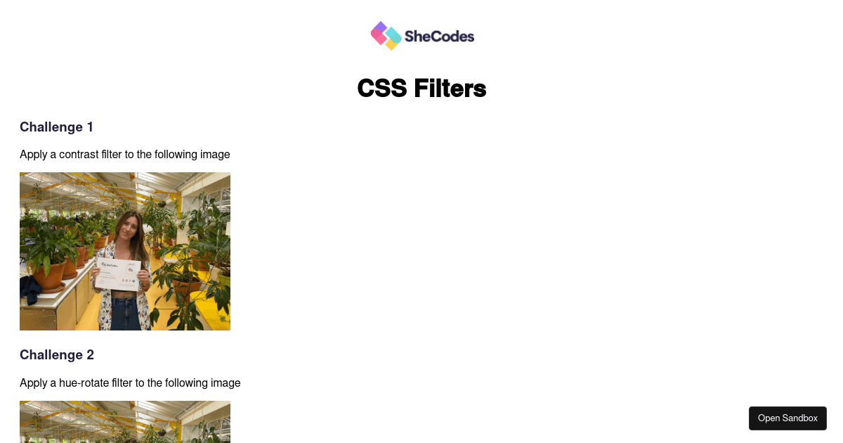 CSS Filters / Challenge (forked) - Codesandbox