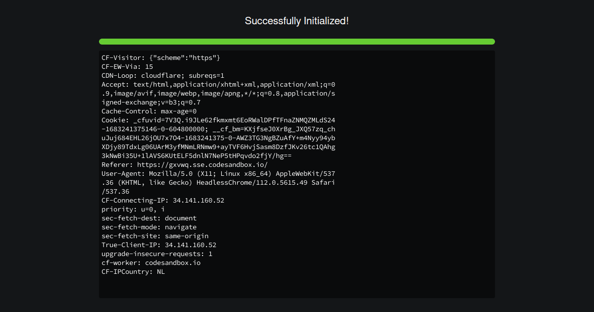 Node Js Net Module Codesandbox