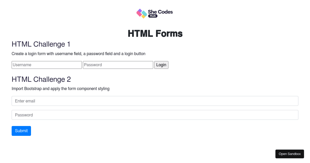 HTML Forms (forked) - Codesandbox