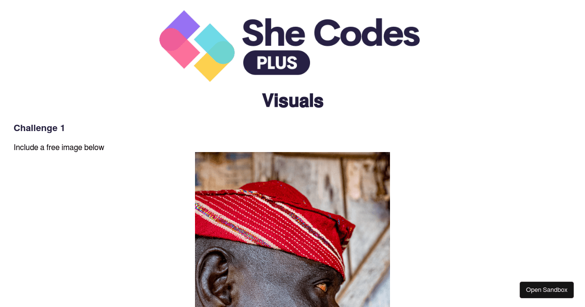 Visuals Challenge (forked) - Codesandbox