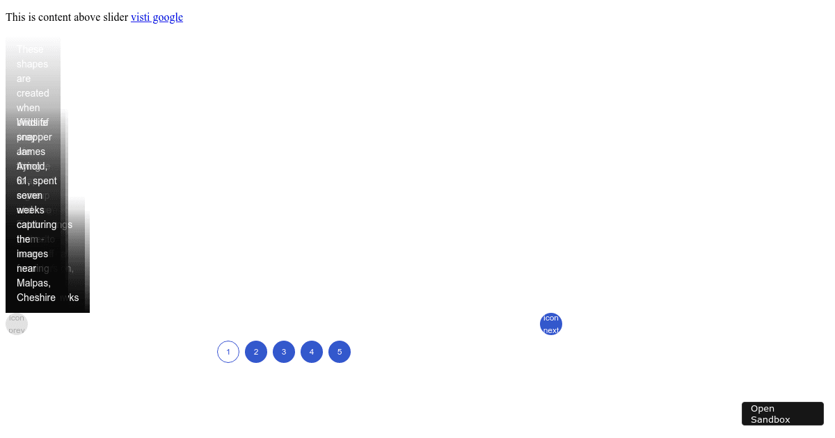 Gallery Basic+Tabbed - Codesandbox