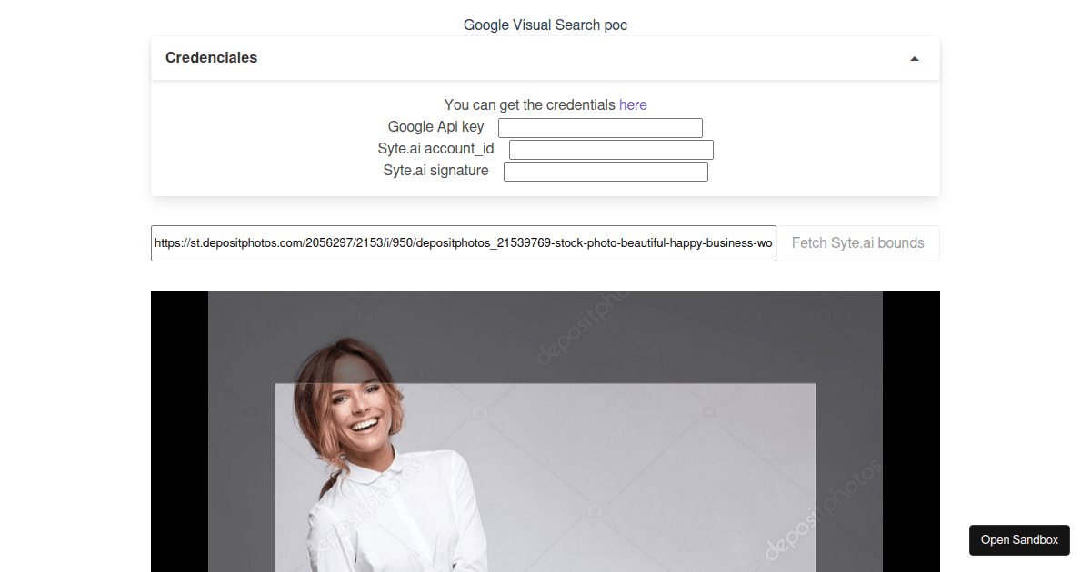 VisualSearch PoC v1.1.0 - Codesandbox