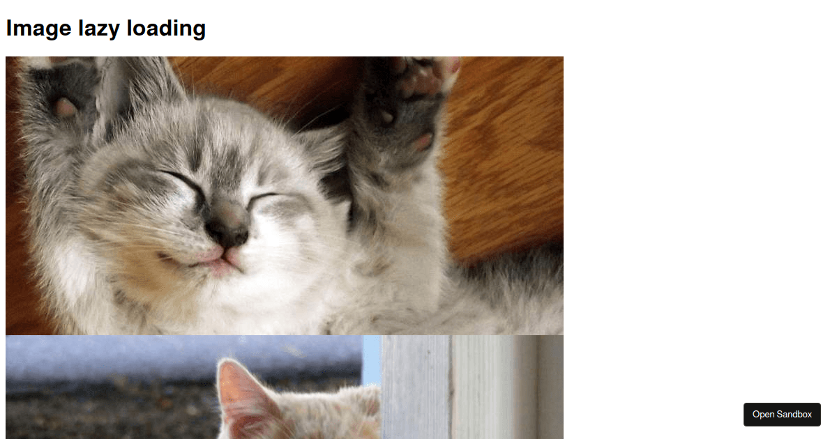 Loadnig cat meme, loading cat, meme cat, HD wallpaper