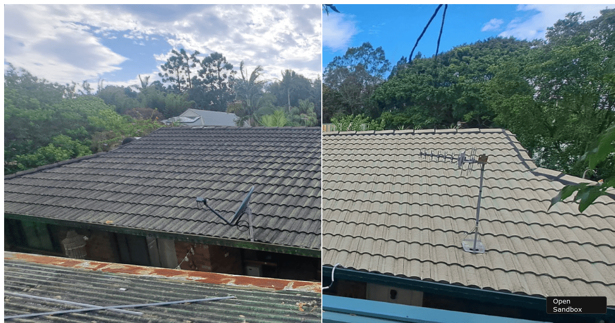 long-bash-n2t4ft - Codesandbox