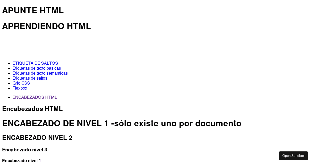 Apunte HARRY HTML - Codesandbox