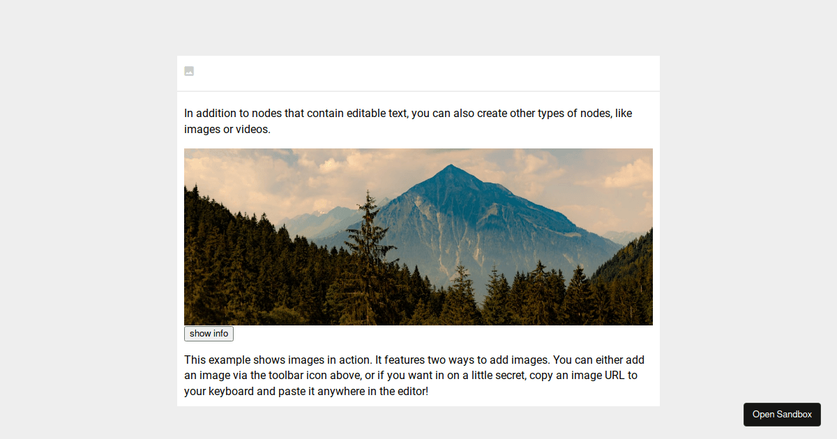 Slate void selection issue - Codesandbox