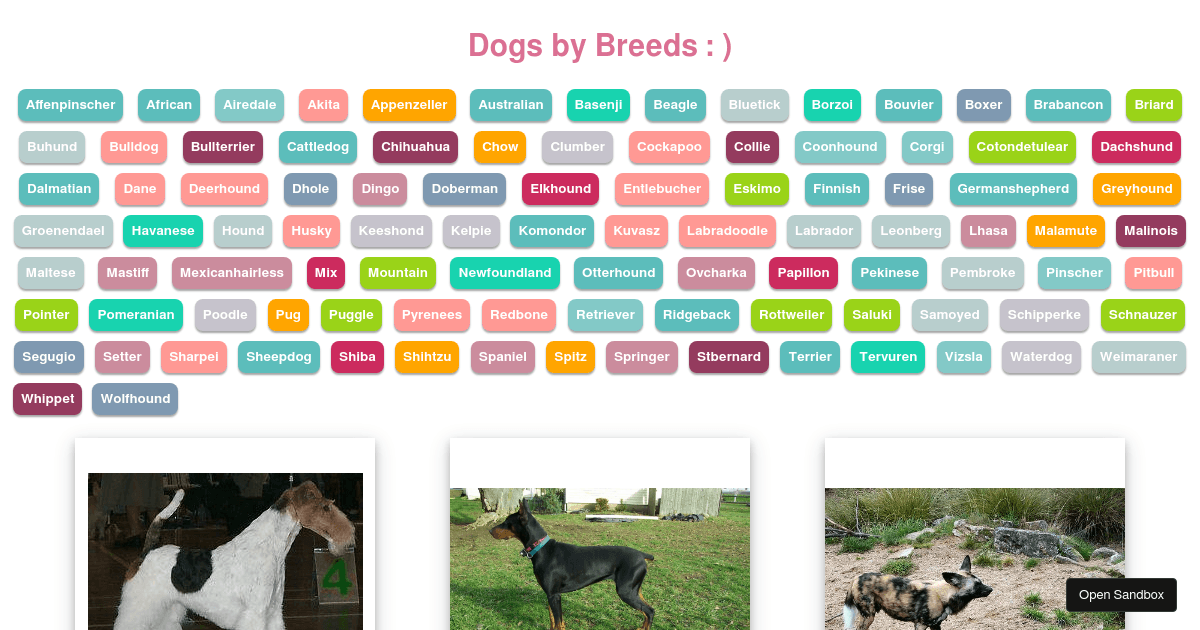 REACT DOG API - Codesandbox