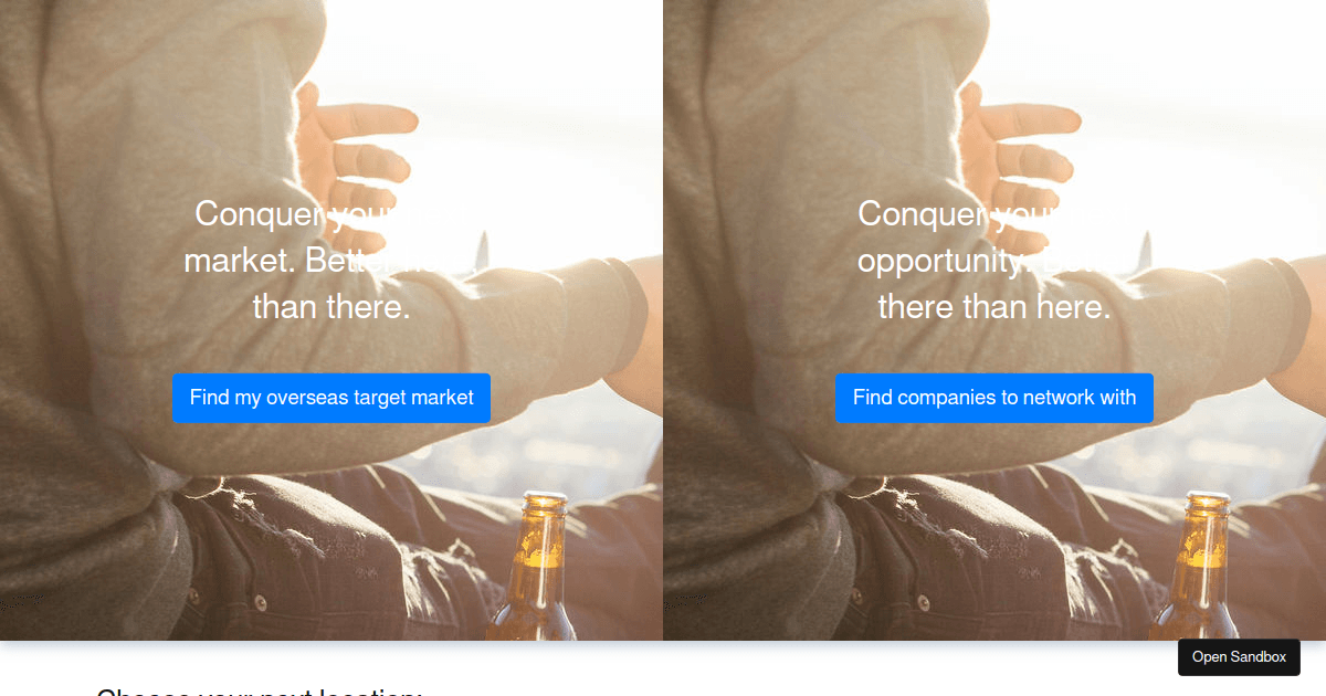 Signup-Update flow - Codesandbox