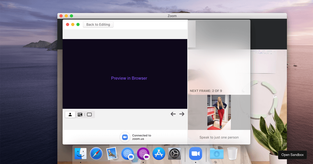 Screen Share - Codesandbox