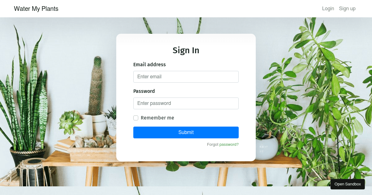 SignUp Form - Codesandbox