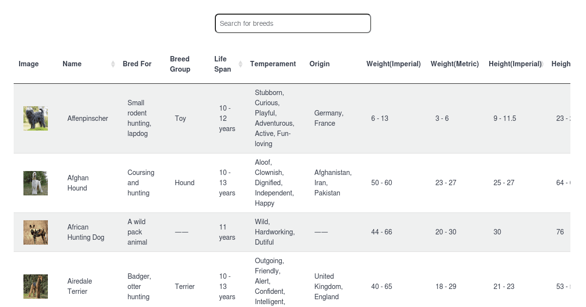 dog-search - Codesandbox