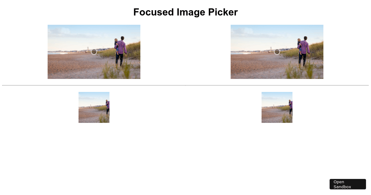 Focused image component (forked) - Codesandbox