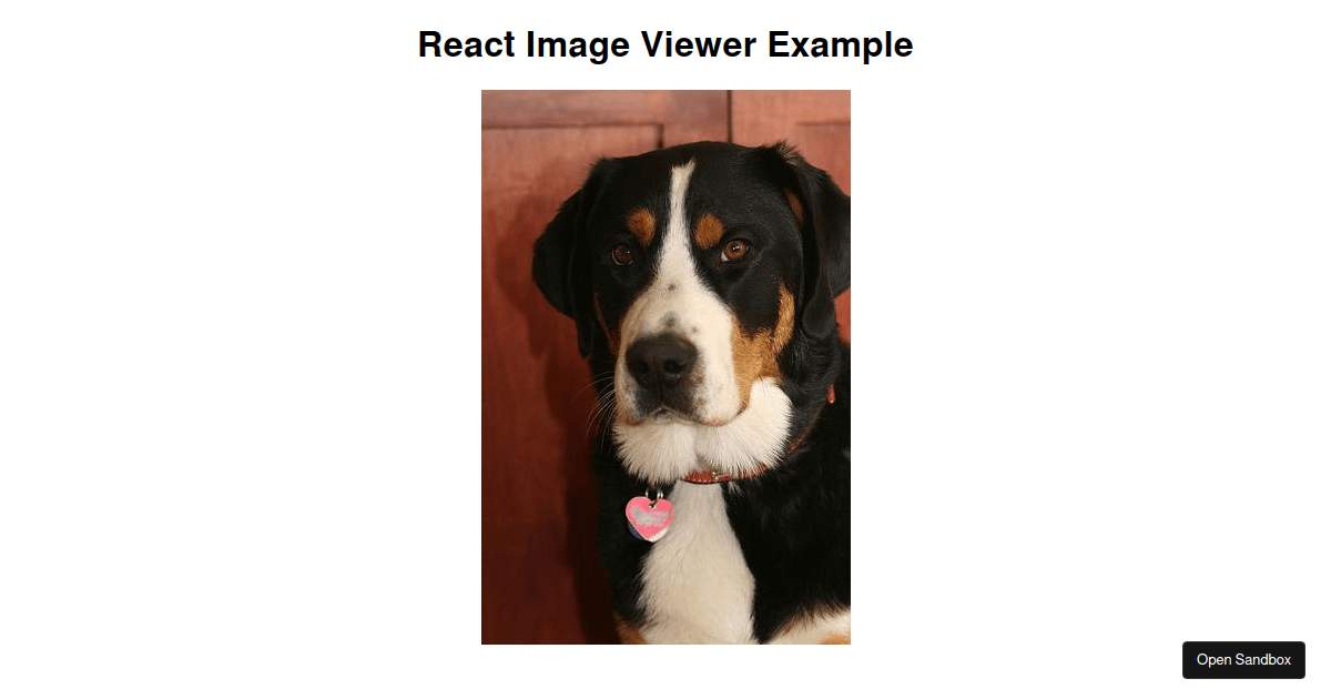 React Images Viewer Example