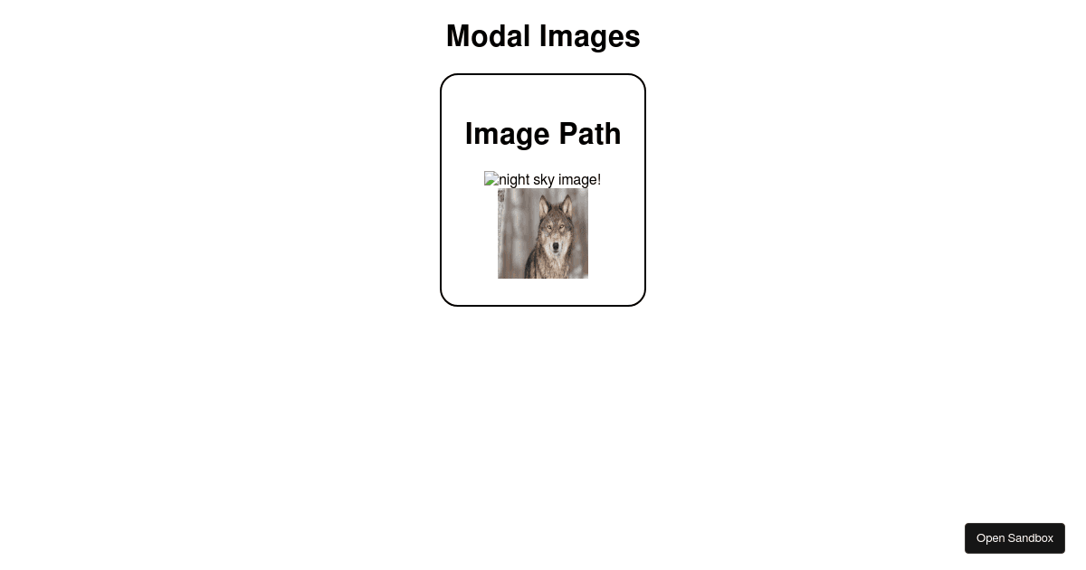 image model-01 zoom functionality (forked) - Codesandbox