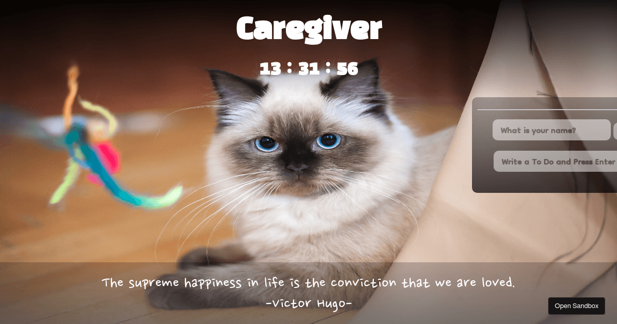 Caregiver Codesandbox