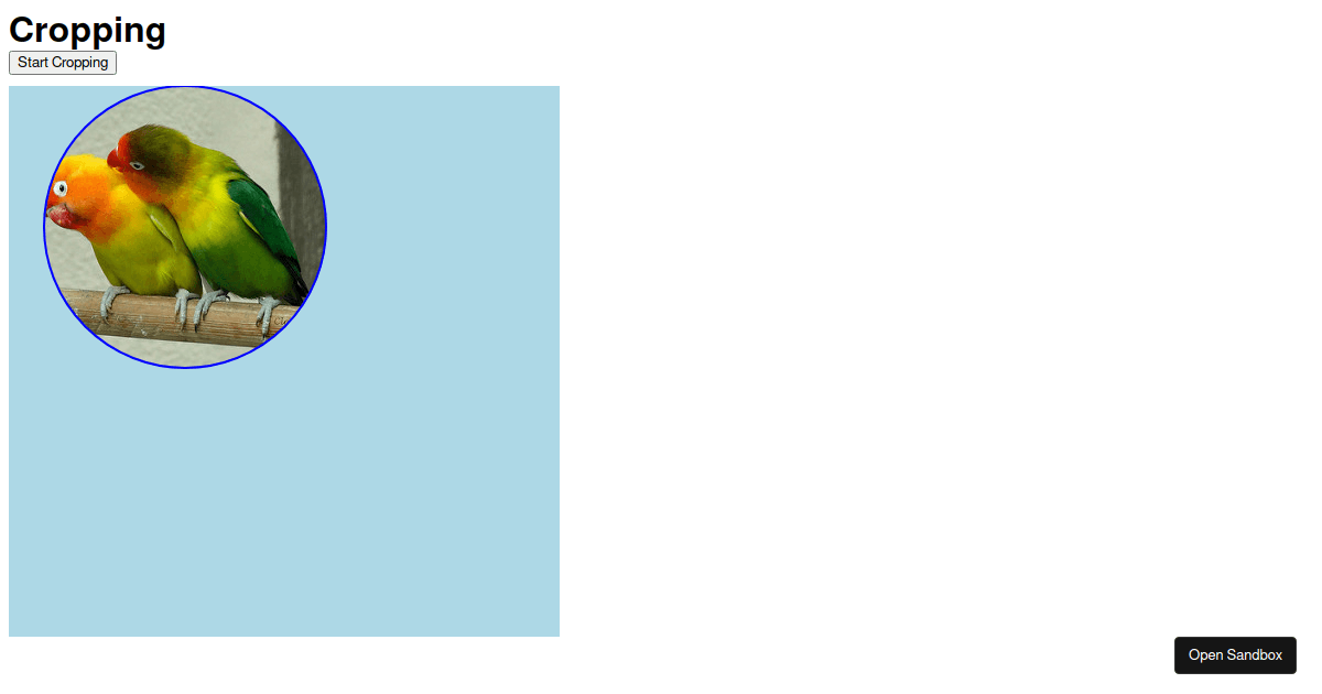fabricjs circle crop - Codesandbox