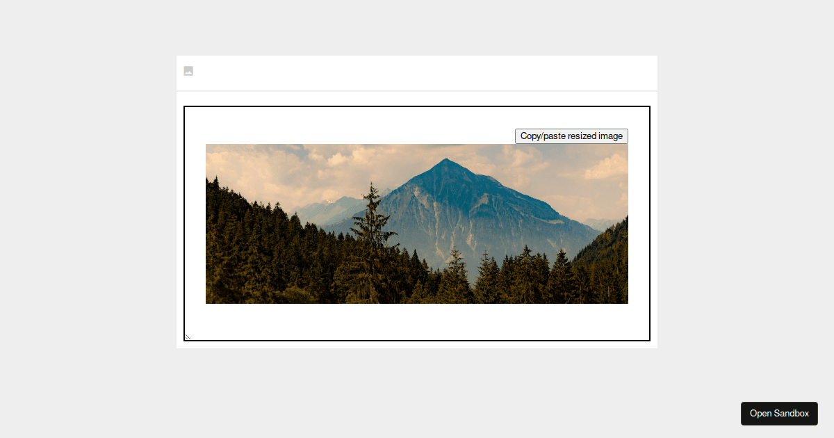 Slate Screenshots Slate Resize Image example - Codesandbox