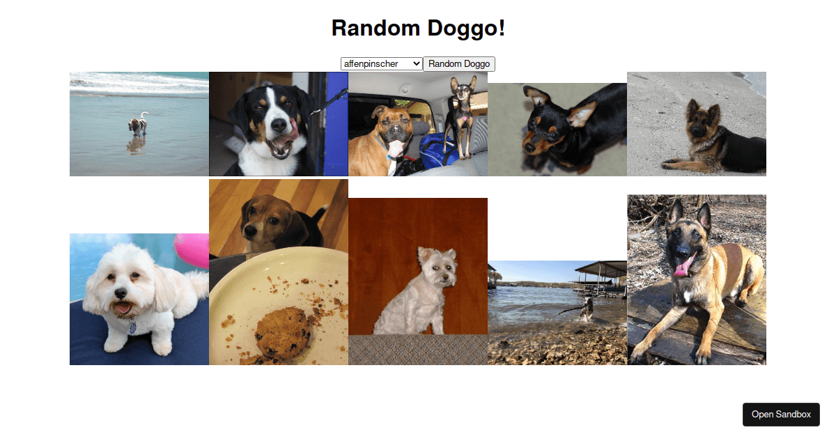 Dog API - Codesandbox