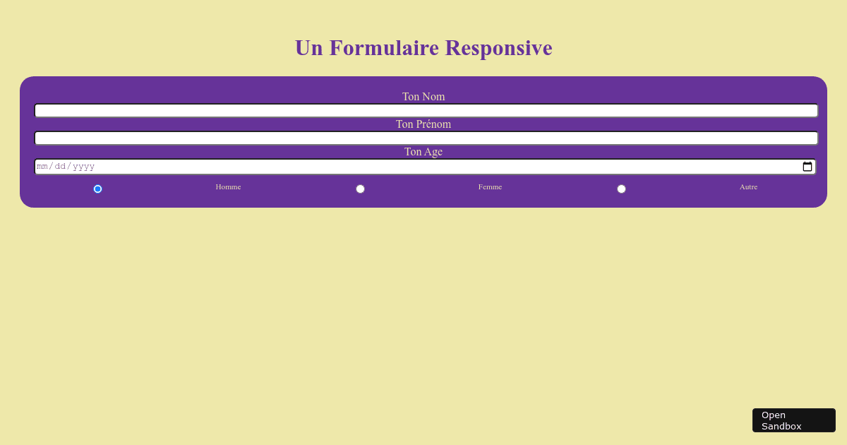 Formulaire responsive codesandbox