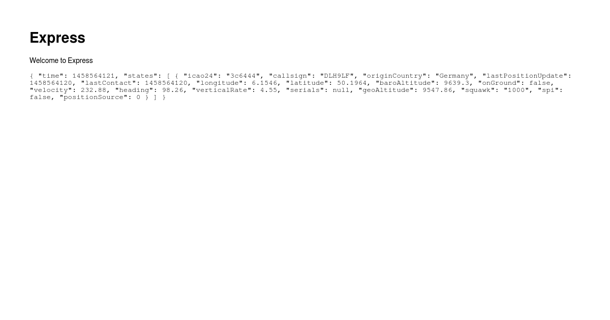OpenSky API - Node - Codesandbox