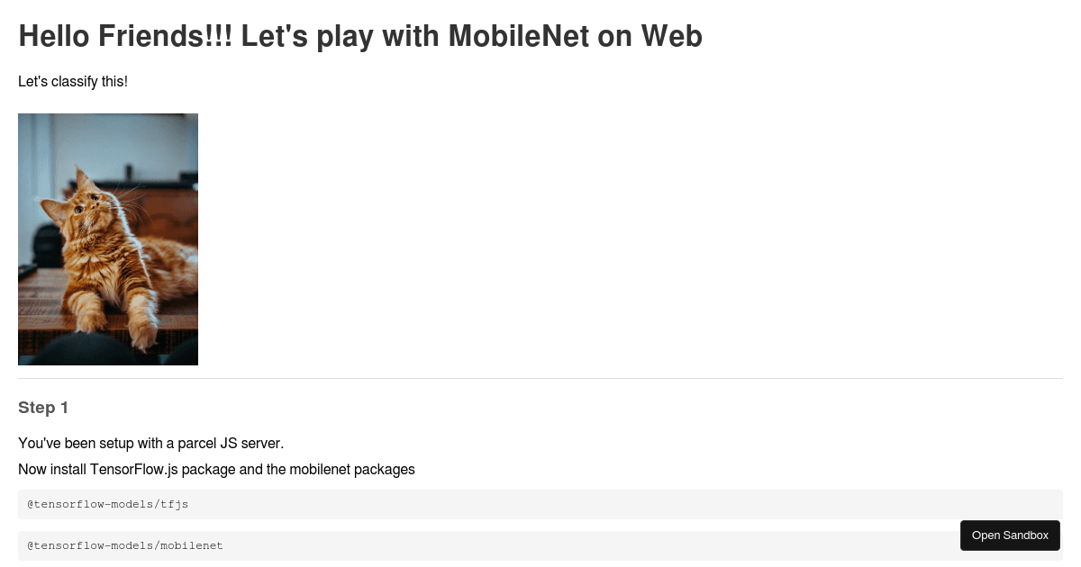 trying-mobilenet (forked) - Codesandbox